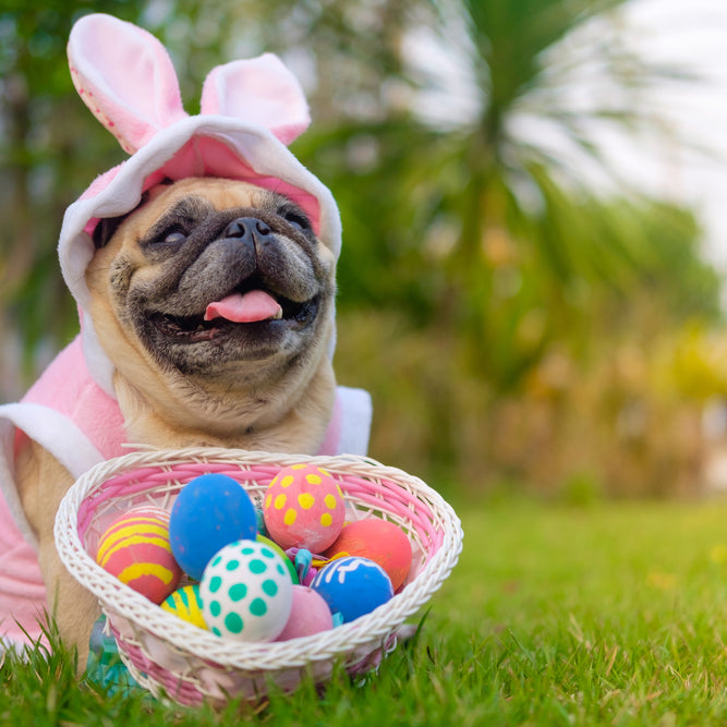 Easter Egg Hunt, Spring Costume Parade & Photos With Easter Bunny - Saturday, March 30th