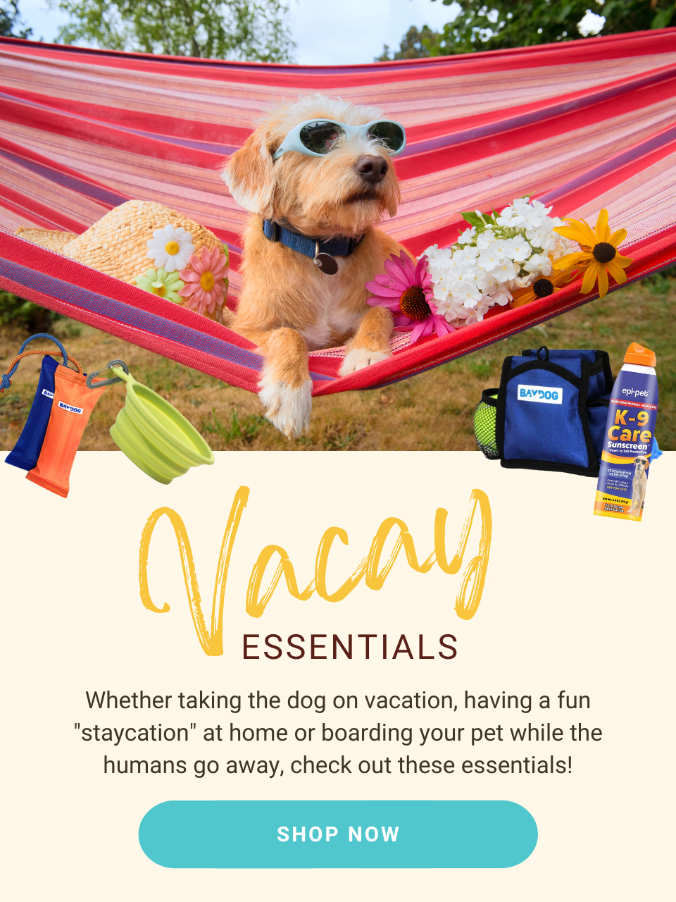 Vacay Essentials! Check out our collection of essentials for vacation! Shop now!