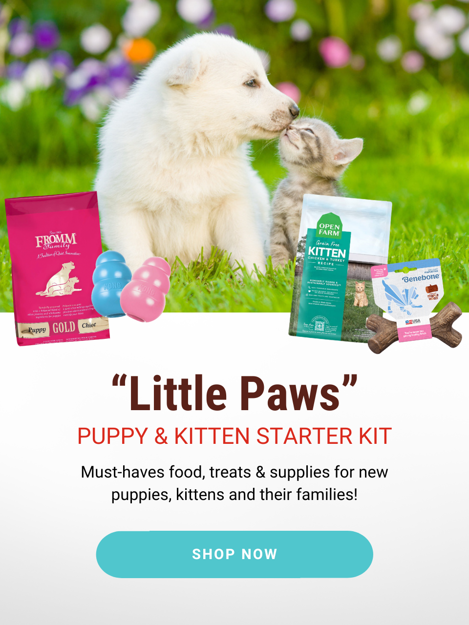 "Little Paws" puppy and kitten starter kit! Must-haves food, treats & supplies for new puppies, kittens and their families!