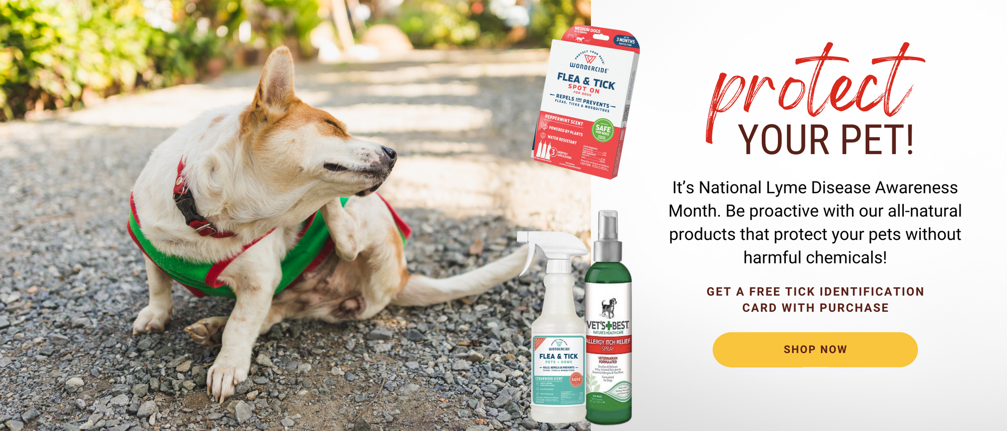 Protect your pet! It's National Lyme Disease Awareness Month. Be proactive with our all-natural products that protect your pets without harmful chemicals! Shop now! 