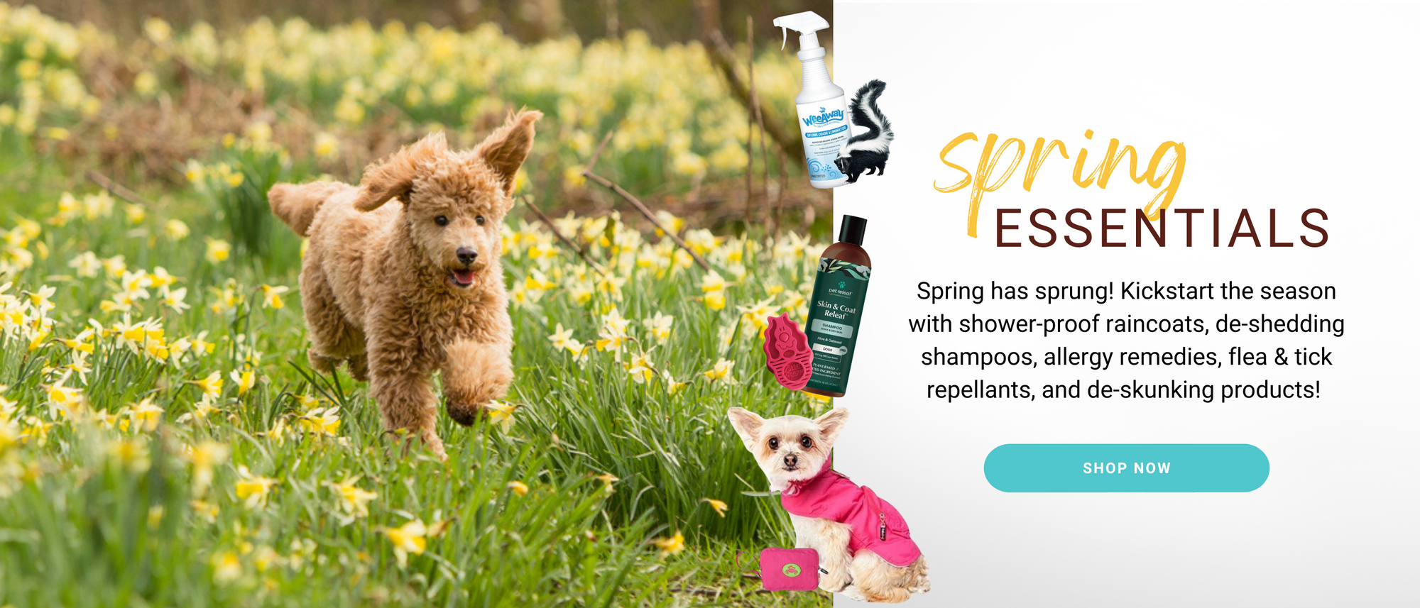 Spring Essentials! Spring has Sprung! Kickstart the season with shower-proof raincoats, de-shedding shampoos, allergy remedies, flea & tick repellants, and de-skunking products!! Shop Now!