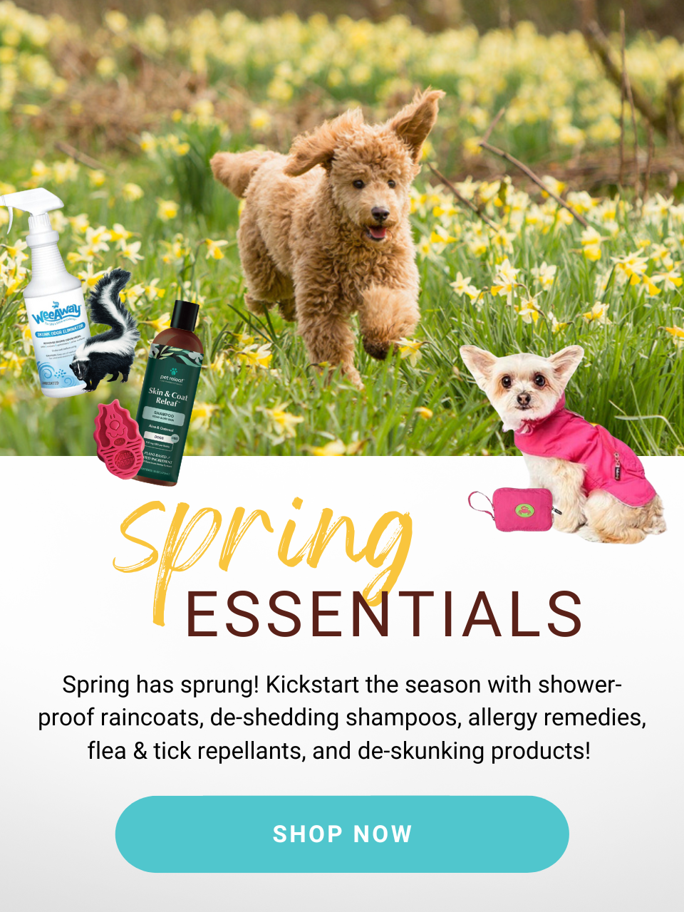 Spring Essentials! Spring has Sprung! Kickstart the season with shower-proof raincoats, de-shedding shampoos, allergy remedies, flea & tick repellants, and de-skunking products!! Shop Now!