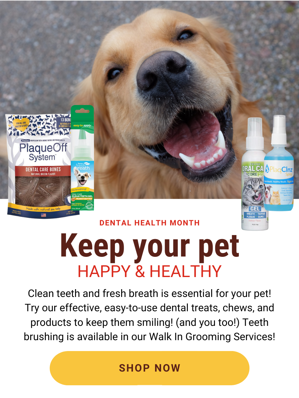 Clean teeth and fresh breath is essential for your pet! Try our effective, easy-to-use dental treats, chews, and products to keep them smiling! (and you too!) Shop Now!