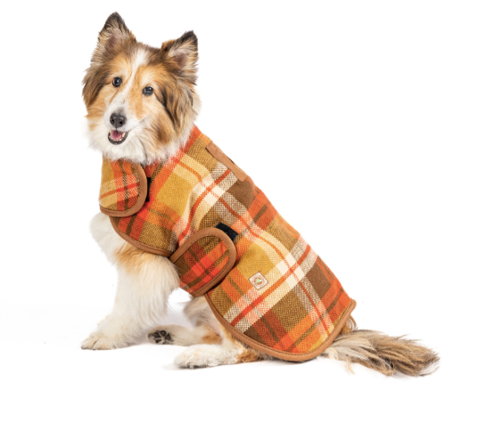 Chilly Dog Rust Plaid Blanket Coat