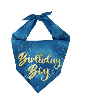 Paisley Paw Designs "Happy Birthday Boy" Bandana