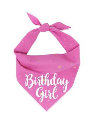 Paisley Paw Designs "Happy Birthday Girl" Bandana