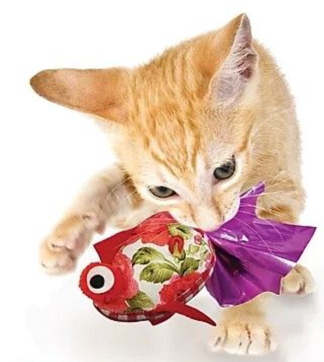 GOLi Design "Crink A Fish" Cat Toy