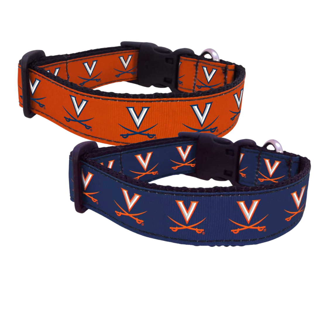 University of Virginia Dog Collars, with Orange background