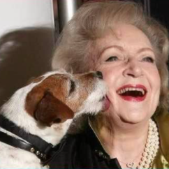 Betty White's Honorary 100th Birthday and Fund Raiser for Pet Rescue