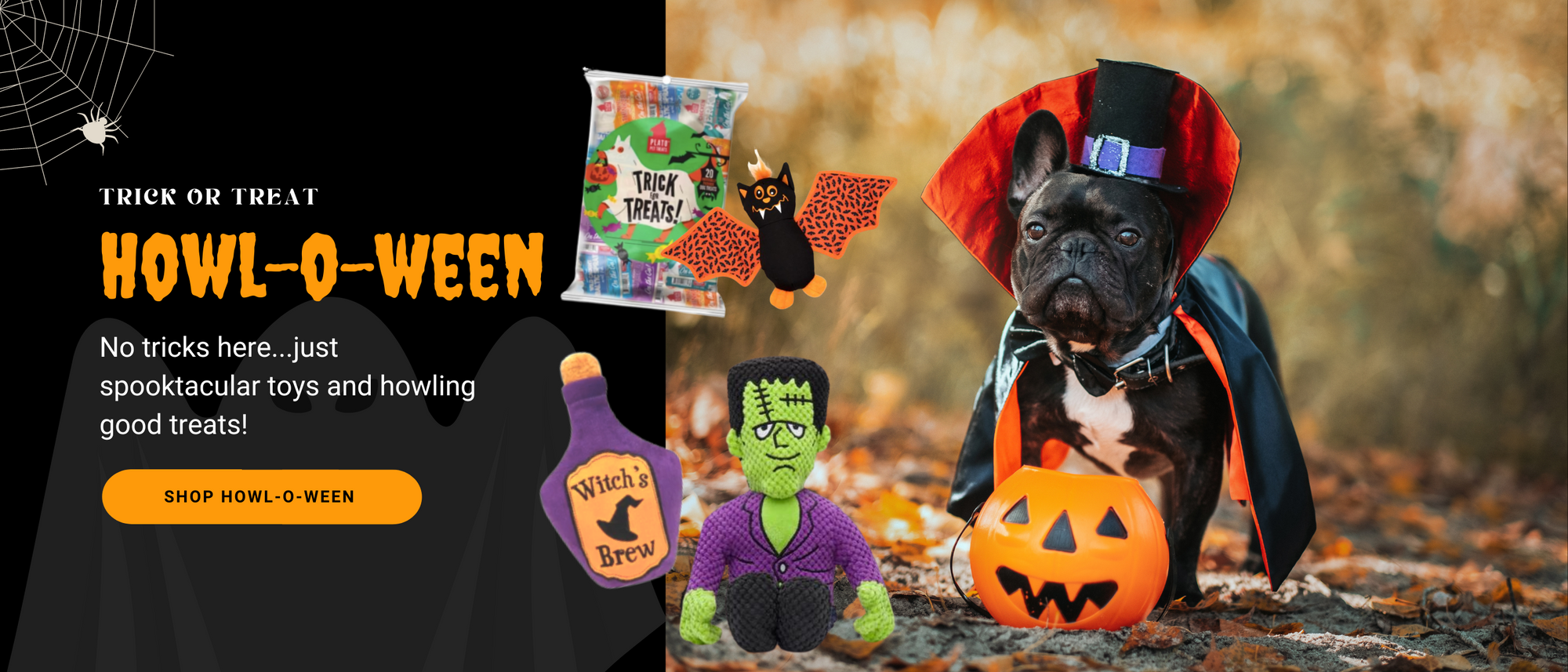 Trick or Treat! It's Howl-O-Ween! No tricks here...just spooktacular toys and howling good treats! Shop now!