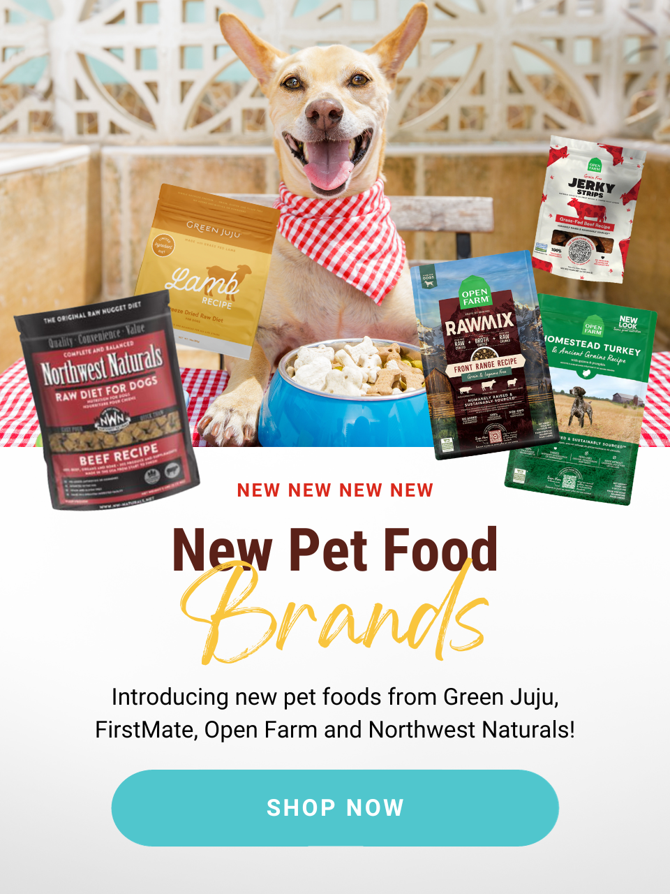 Introducing new pet foods from Green Juju, FirstMate, Open Farm and Northwest Naturals! Shop now!