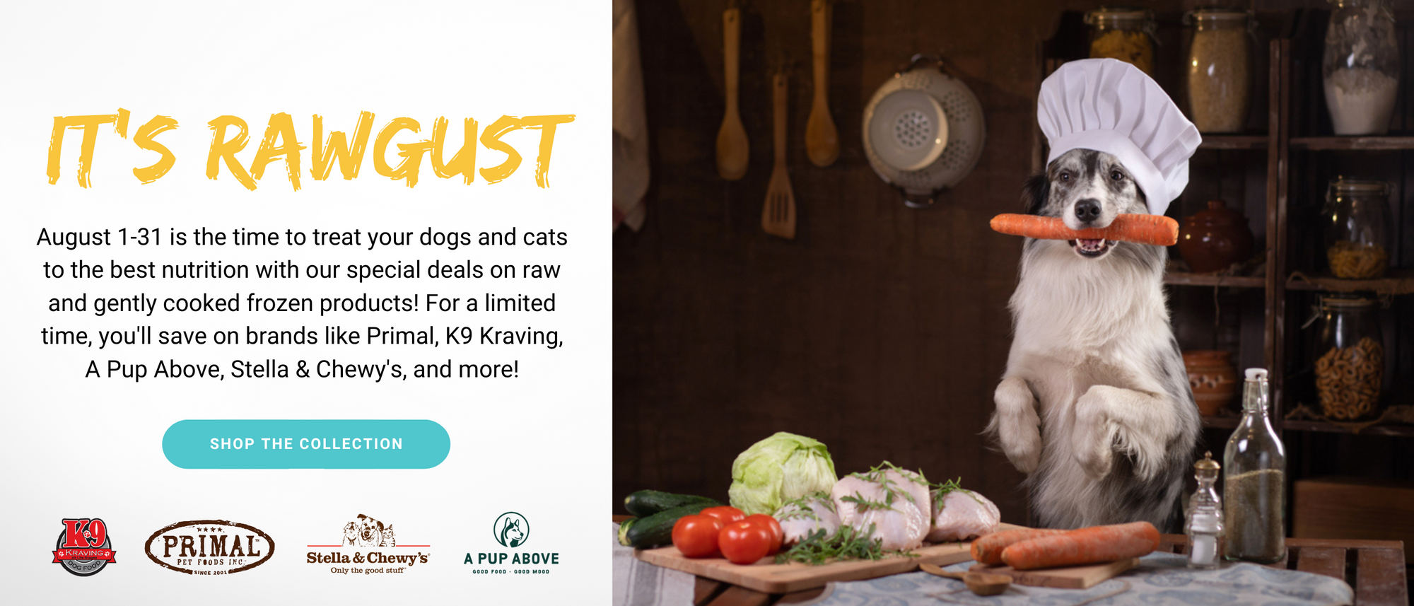 Pet Food Supply Store Charlottesville VA Animal Connection — Animal