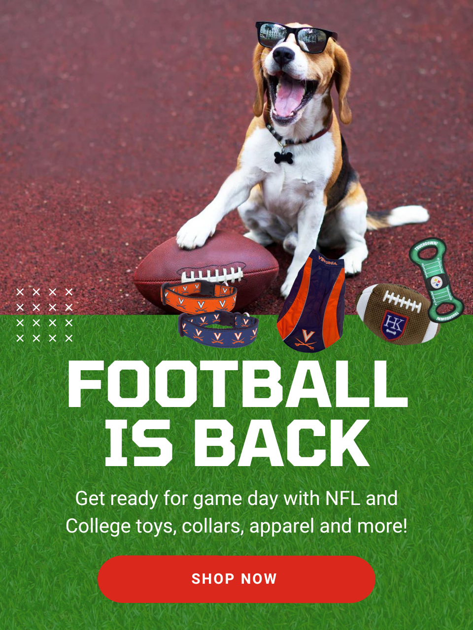 Football is back! Get ready for game day with NFL and College toys, collars, apparel and more! Shop now!