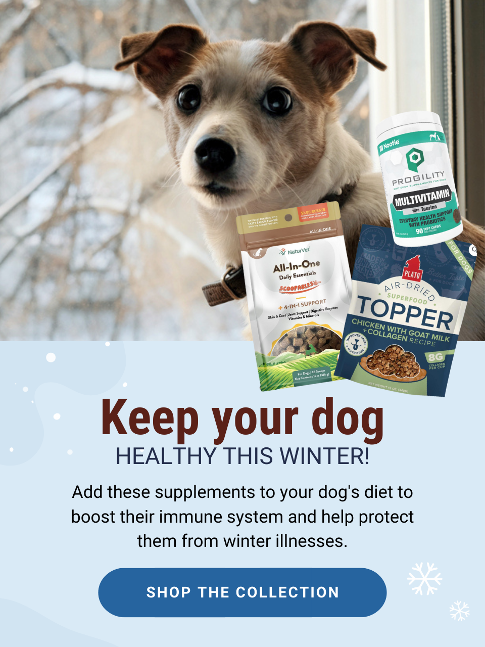 Keep your dog healthy this winter! Add these supplements to your dog's diet to boost their immune system and help protect theme from winter illnesses! Shop now! 