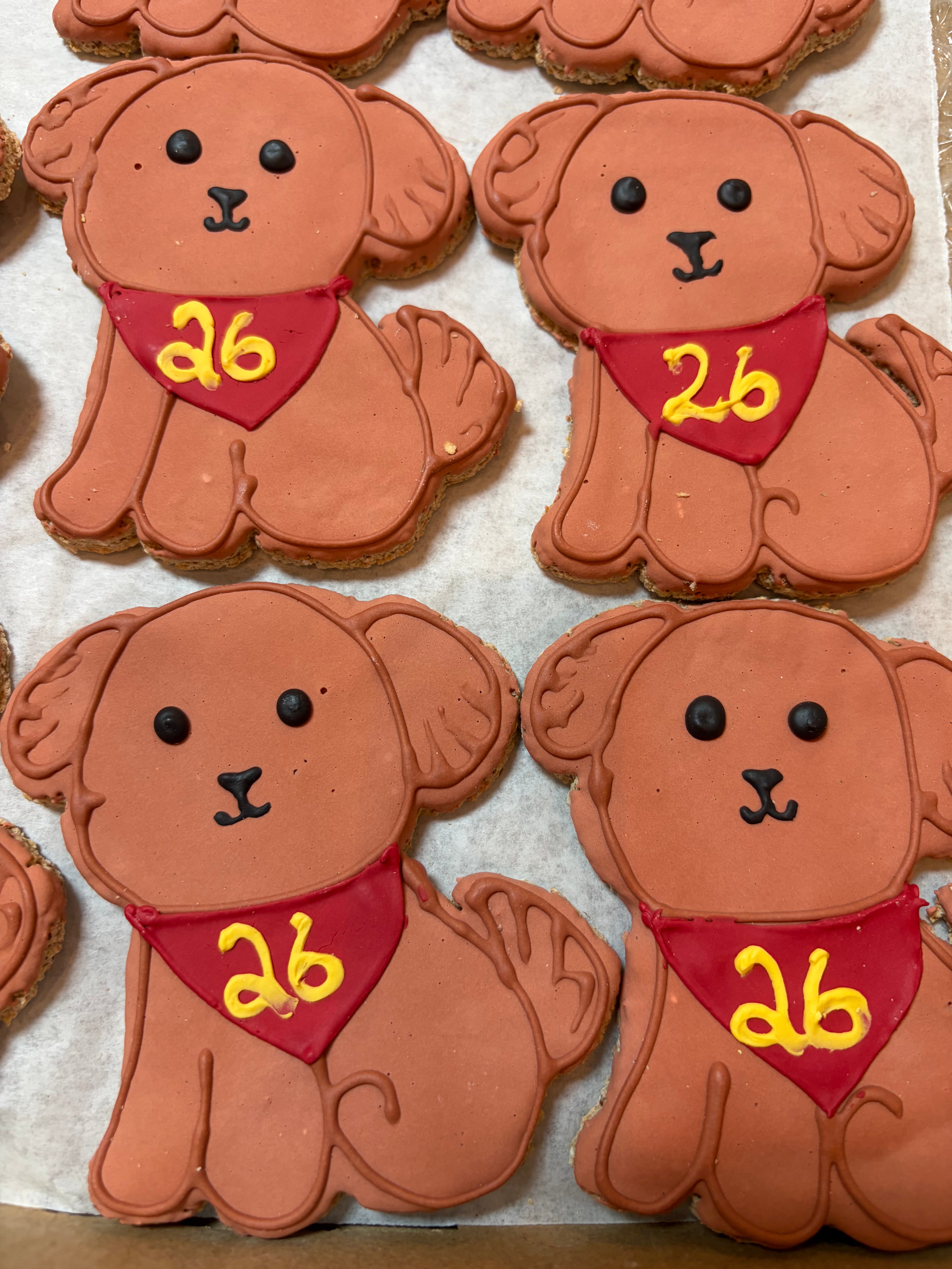 AC Birthday Party Dog Cookie