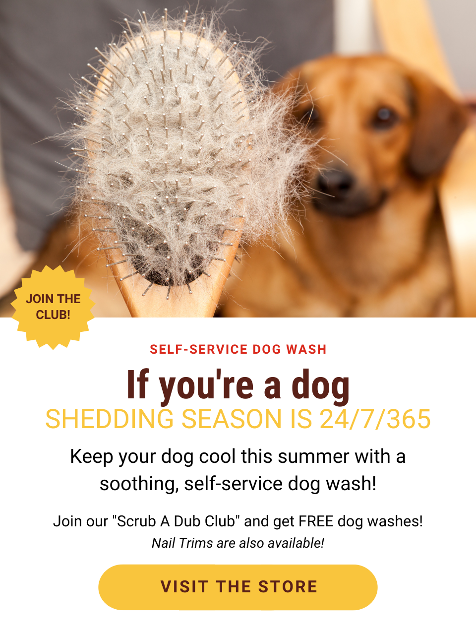If you're a dog, shedding season s 24/7/365! Keep your dog cool this summer with a soothing, self-service dog wash!