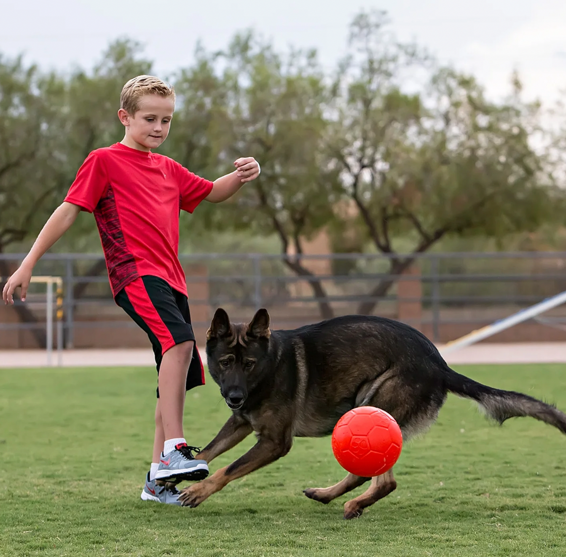 Pet Food Supply Store Charlottesville VA Animal Connection — Animal