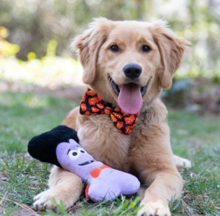 Power sales dog toys