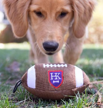 Huxley & Kent Power Plush Football Dog Toy