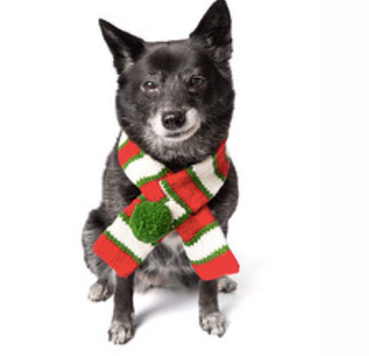 Chilly Dog Scarf, Christmas