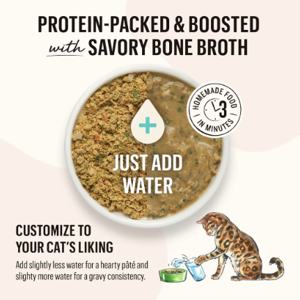 The Honest Kitchen Dehydrated Cat Food, Whole Grain Turkey recipe - 10 X Single Serve 1.5 oz packs