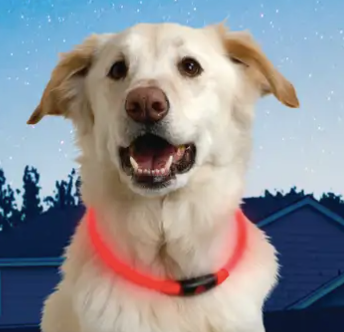 Nite Ize SpotLit LED Safety Necklace For Cats and Dogs Animal