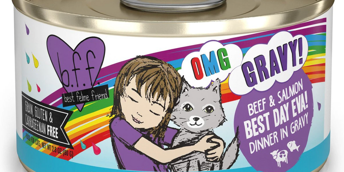 Weruva BFF OMG Best Day Eva! Beef Salmon Dinner in Gravy Grain