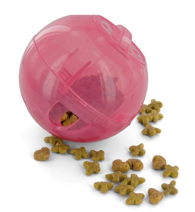 Petsafe slimcat interactive cat feeder best sale