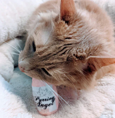 Huxley & Kent "Purring Angel Rose" Plush Catnip Cat Toy