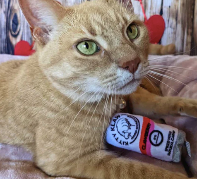 Huxley & Kent "Kitty Klaw Clawberry" Plush Catnip Cat Toy