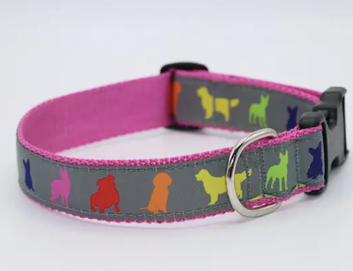 Preston Collars, Rainbow Dogs