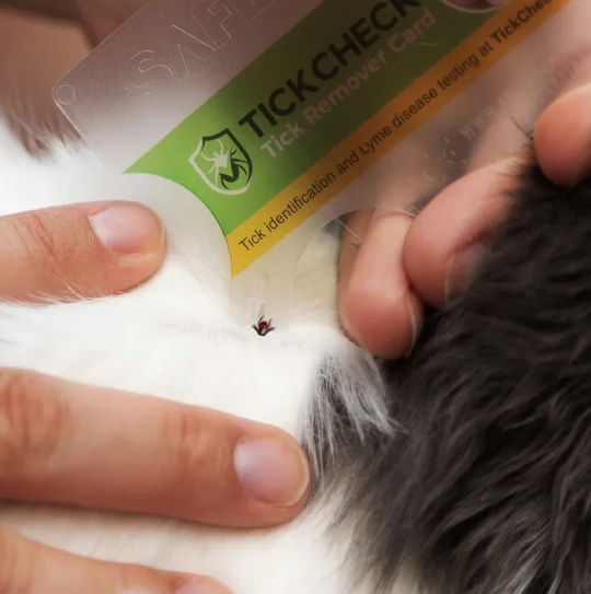 TickCheck Premium Tick Wallet-Sized Remover Card
