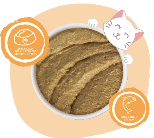 Weruva KITTEN Formula, Tuna & Salmon in a Hydrating Puree Wet Cat Food