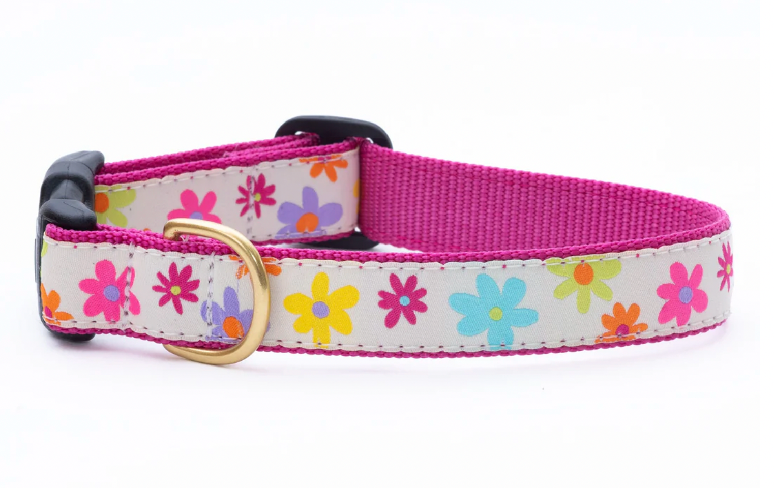 Up Country "Spring Fever" Dog Collar, Blue