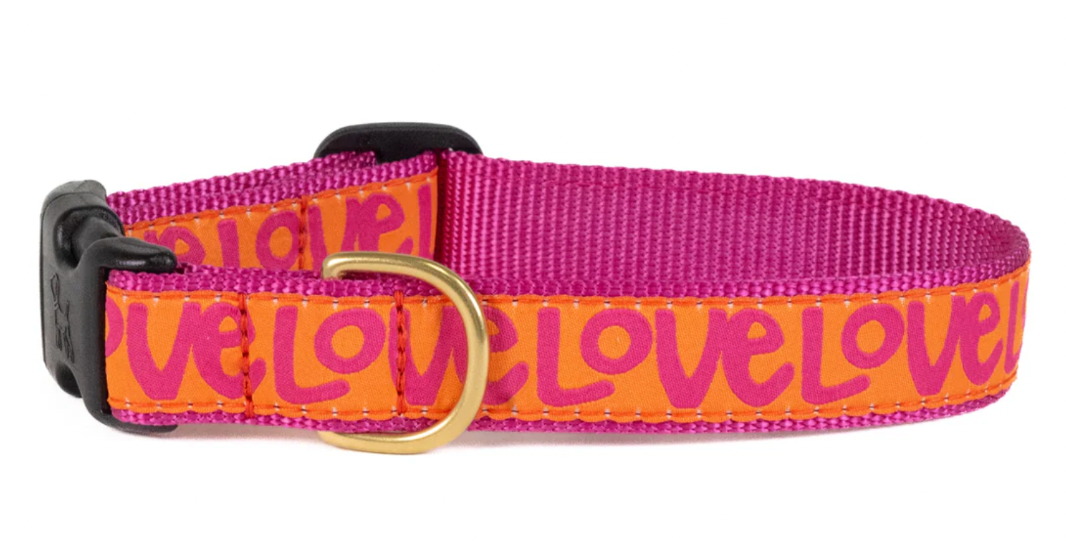 Up Country "Love" Dog Collar, Blue