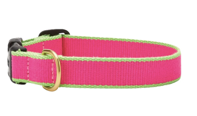 Up Country Color Market Collection, Narrow Width for Puppies/Small Dogs - Pink & Lime