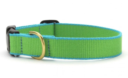Up Country Color Market Collection, Narrow Width for Puppies/Small Dogs - Lime & Aqua