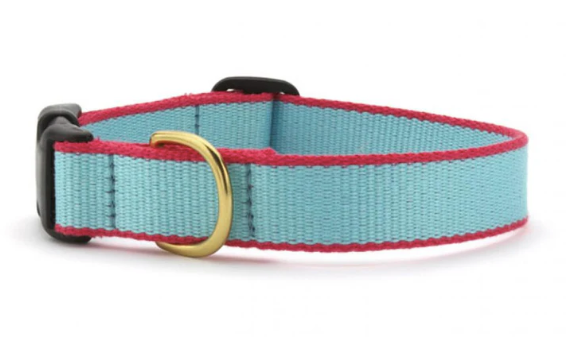 Up Country Color Market Collection, Narrow Width for Puppies/Small Dogs - Aqua & Coral