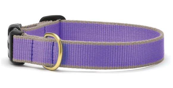 Up Country Color Market Collection, Narrow Width for Puppies/Small Dogs - Purple & Gray