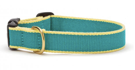 Up Country Color Market Collection, Narrow Width for Puppies/Small Dogs - Teal & Yellow