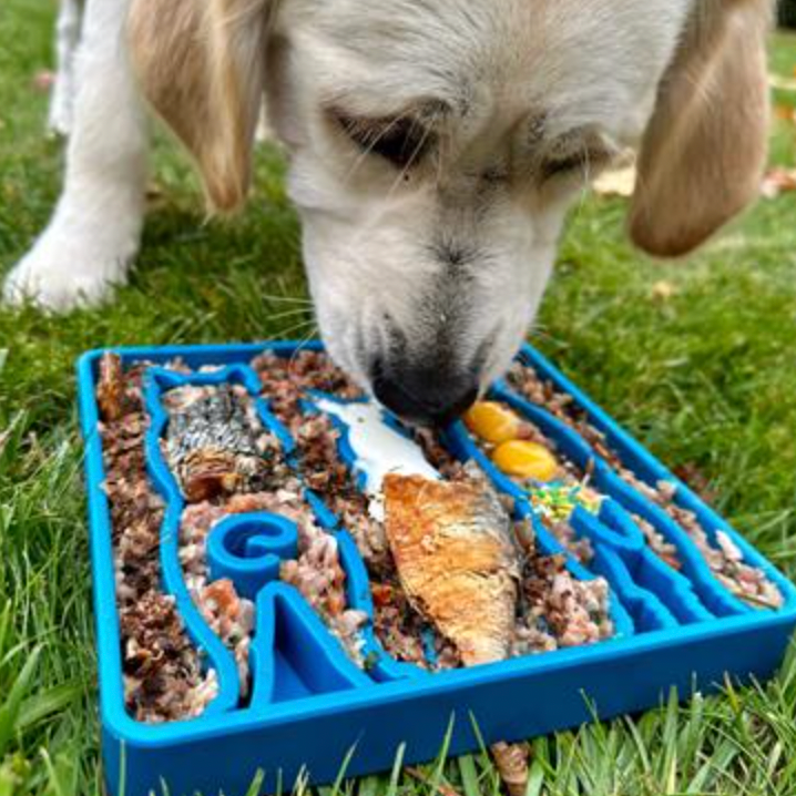 SodaPup "Waiting Dogs" Durable Enrichment & Slow Feeder Tray, Blue