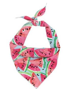 Paisley Paw Designs "Watermelon" Bandana