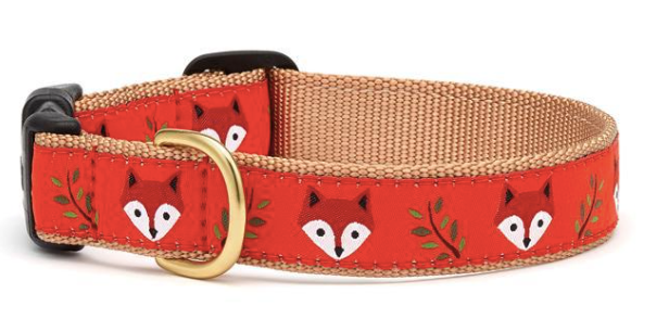 Up Country "Foxy" Dog Collar