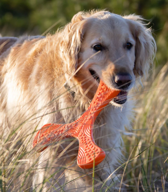 N-Gage Propeller Fetching Dog Toy, Regular (medium - large dogs)