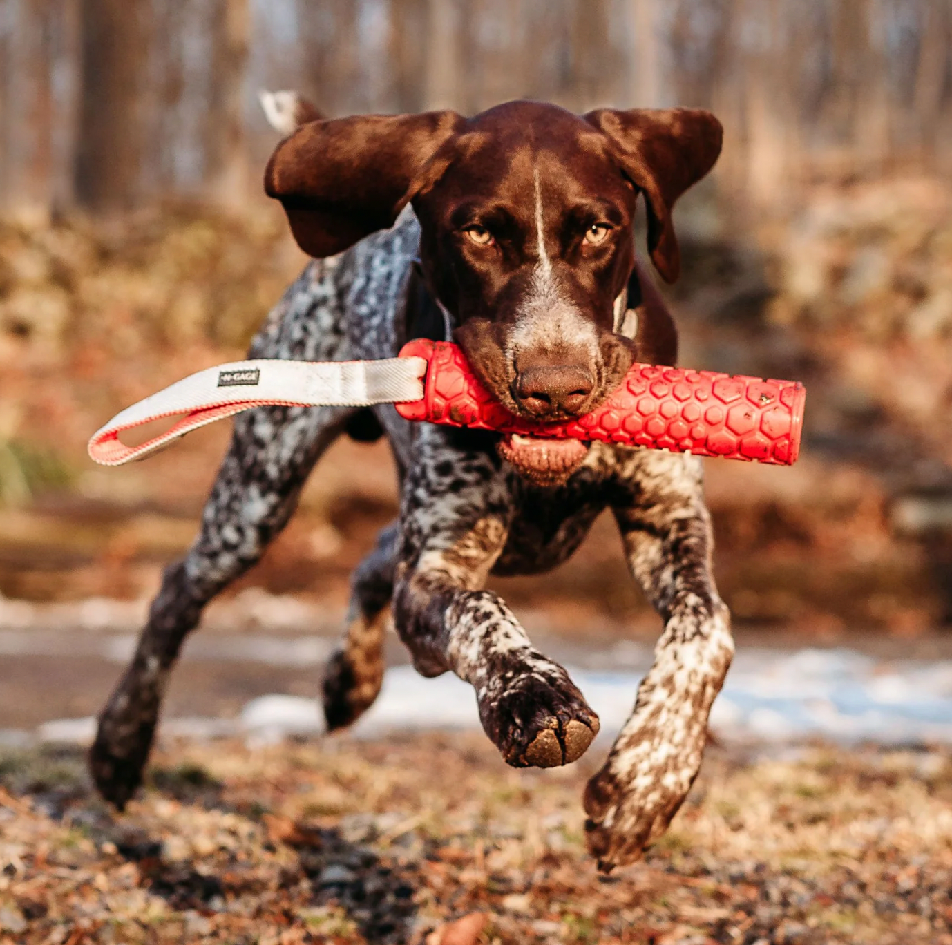 N-Gage Hydro Bumper Fetching Dog Toy, Regular (medium-large to large dogs)