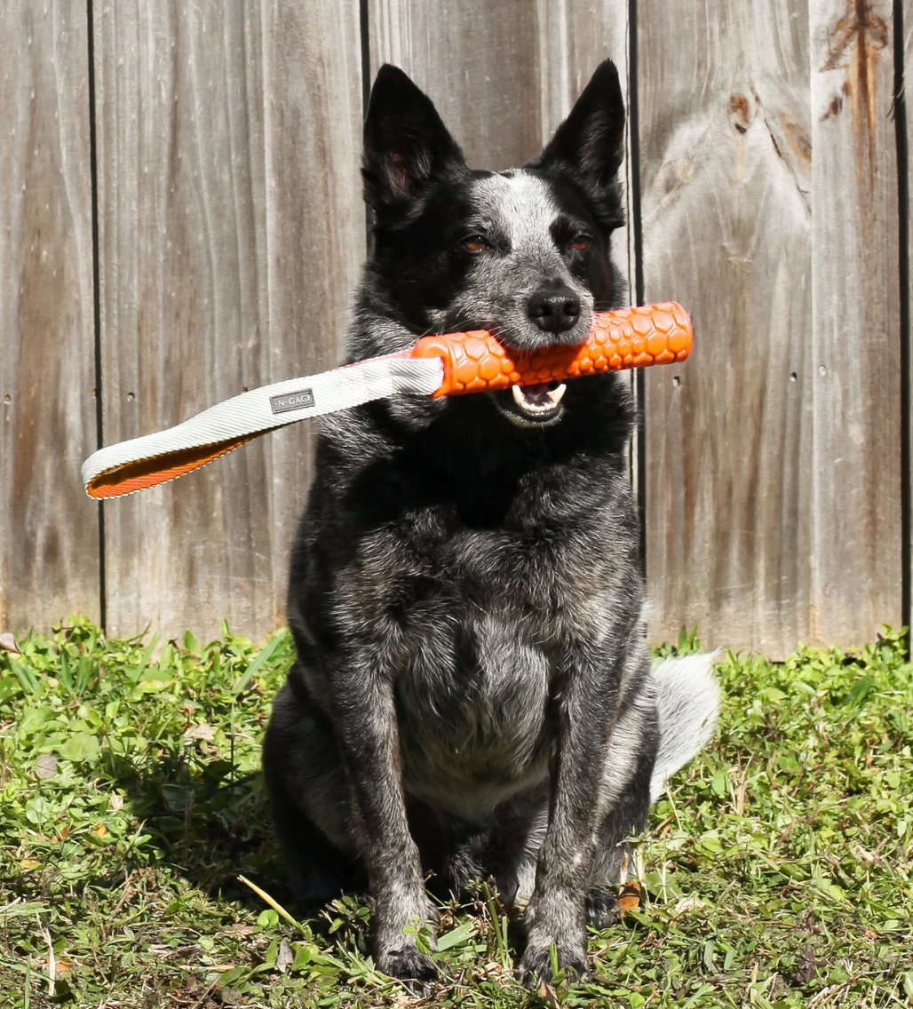 N-Gage Hydro Bumper Fetching Dog Toy, Junior (small - medium dogs)