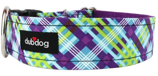 DubDog Designs Dog Collars, Cyrus