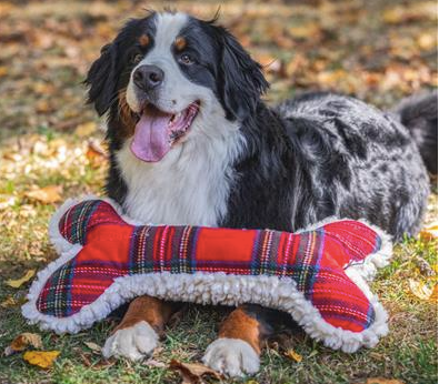 Hugglehounds Holiday Tartan Tidings Bone with Invincible Squeaker, 24"