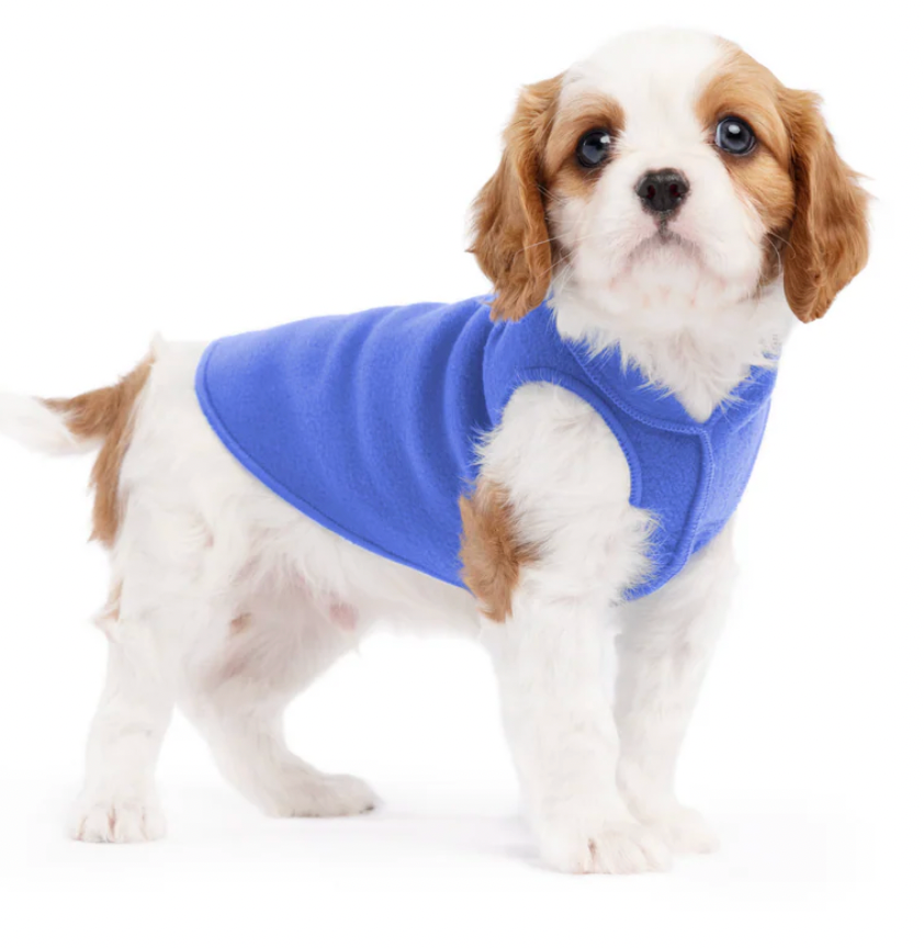 GoldPaw Stretch Fleece Sweater, Cornflower