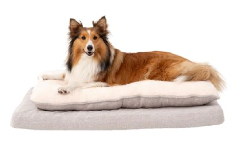 Tall Tails/Territory Orthopedic Pillow Top Bed, Large (36" x 23")